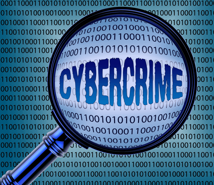 Healthcare Cyber Crime