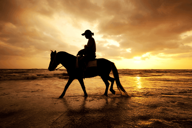 Getting Back Up on Your Horse