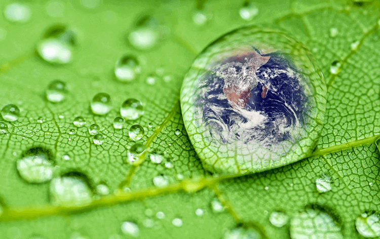 Government Environment Sustainability