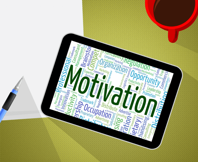 Employee Incentives & Motivation