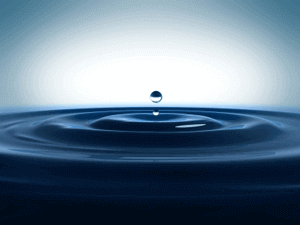 Internal & External Corporate Social Responsbility Flow