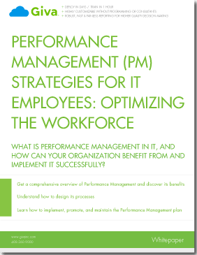 Performance Management (PM) Strategies for IT Employees: Optimizing the Workforce